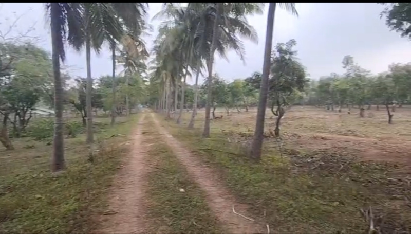  15 Acre Agricultural/Farm Land for Sale in Kalpakkam, Kanchipuram