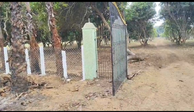  15 Acre Agricultural/Farm Land for Sale in Kalpakkam, Kanchipuram