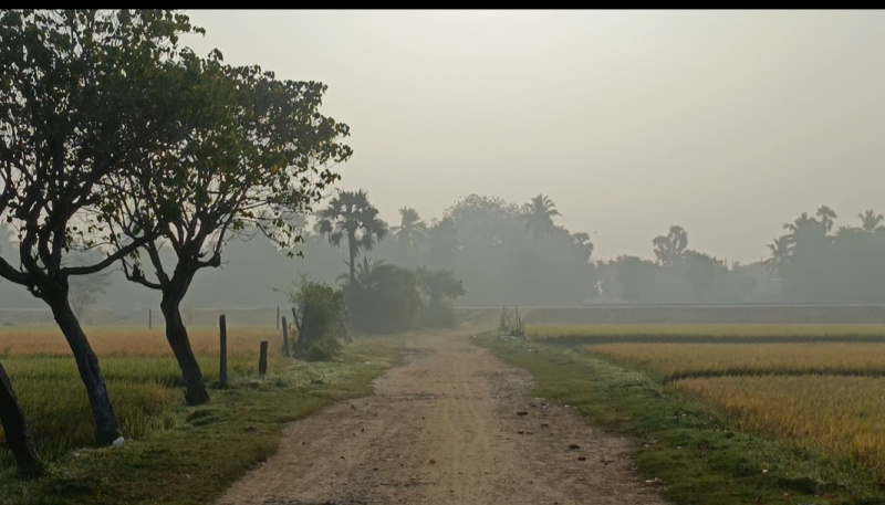  35 Cent Agricultural/Farm Land for Sale in Cheyyur, Chengalpattu