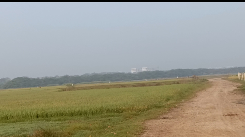  35 Cent Agricultural/Farm Land for Sale in Cheyyur, Chengalpattu