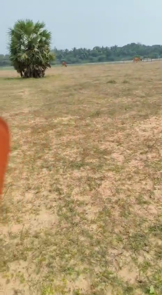  12000 Sq.ft. Commercial Land for Sale in Koovathur, Kanchipuram