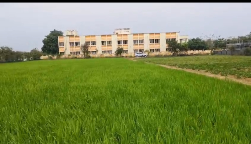  2 Acre Agricultural/Farm Land for Sale in Anupuram, Chengalpattu