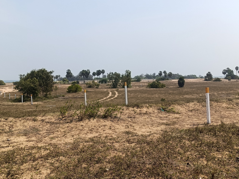  19 Acre Commercial Land for Sale in East Pondy Road, Villupuram