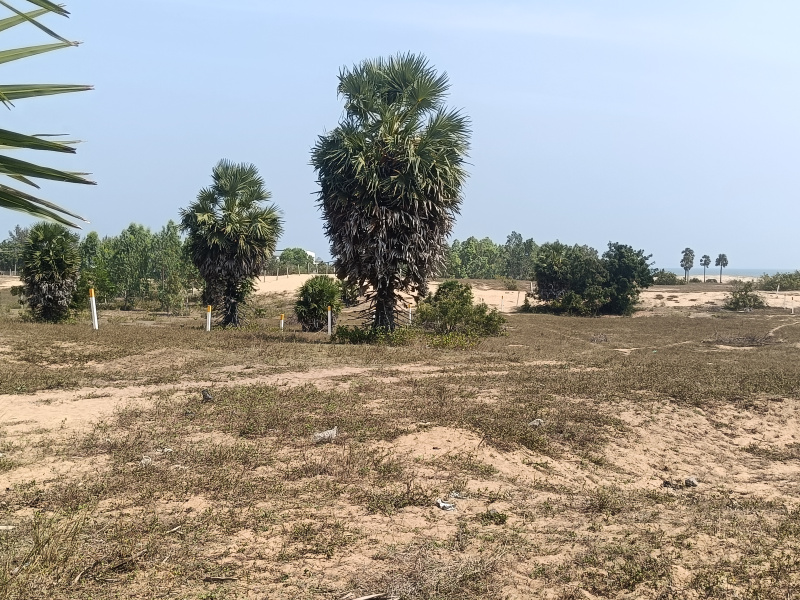  19 Acre Commercial Land for Sale in East Pondy Road, Villupuram