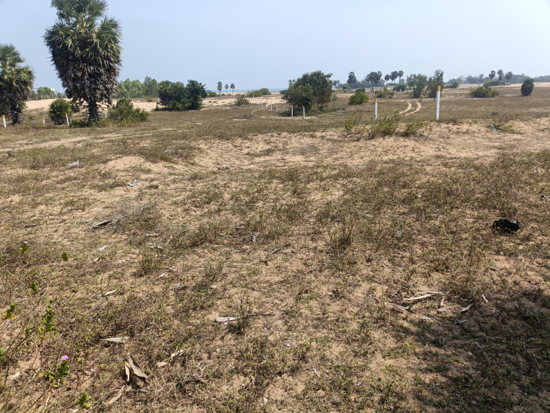  19 Acre Commercial Land for Sale in East Pondy Road, Villupuram