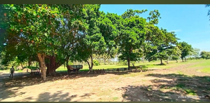  90 Ares Agricultural/Farm Land for Sale in Cheyyur, Chengalpattu