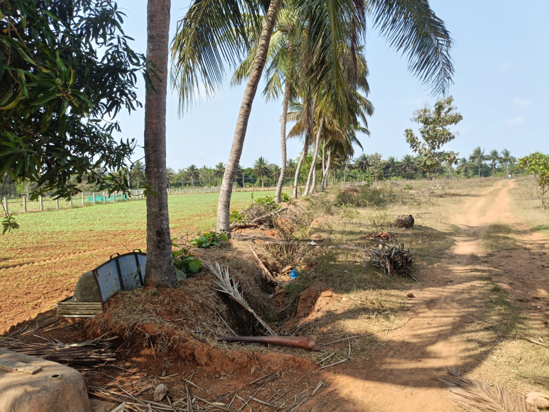  34 Acre Commercial Land for Sale in Thirukalukundram, Kanchipuram