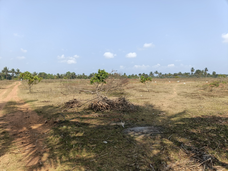 34 Acre Commercial Land for Sale in Thirukalukundram, Kanchipuram