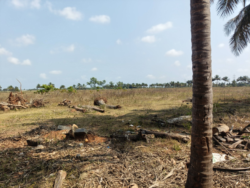  34 Acre Commercial Land for Sale in Thirukalukundram, Kanchipuram