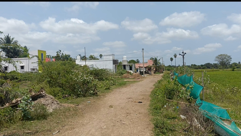  74 Cent Agricultural/Farm Land for Sale in Thirukalukundram, Kanchipuram