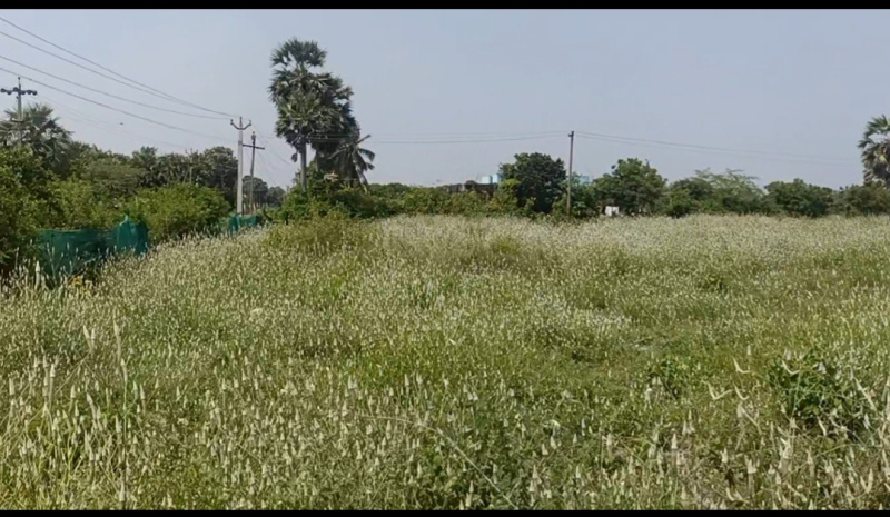  21 Cent Commercial Land for Sale in Cheyyur, Chengalpattu