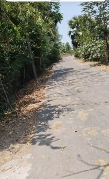  7 Acre Agricultural/Farm Land for Sale in Karunguzhi, Chengalpattu