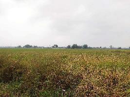  Agricultural Land for Sale in Ammapettai, Thanjavur