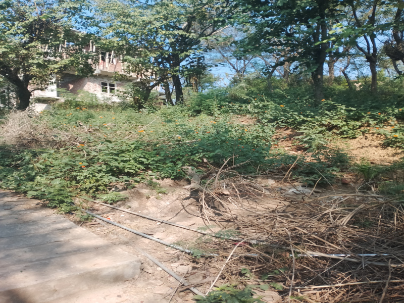  Residential Plot 11 Biswa for Sale in Upper Nihal, Bilaspur