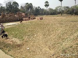  Agricultural Land for Sale in Amta Road, Howrah