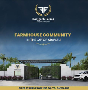  Agricultural Land for Sale in Manesar, Gurgaon