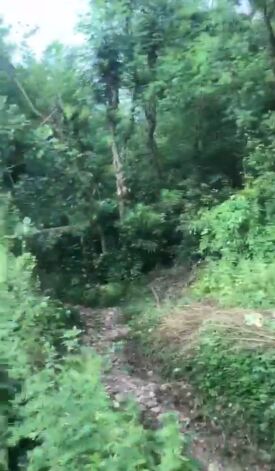  Industrial Land 365 Sq.ft. for Sale in Daulatpur Una