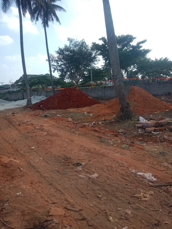  Agricultural Land 5991 Sq.ft. for Rent in Channarayapatna, Hassan