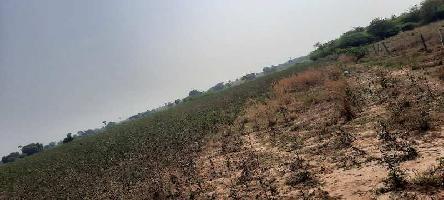  Agricultural Land for Sale in Cherial, Warangal