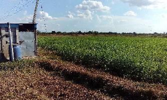  Agricultural Land for Sale in Chidambaram, Cuddalore