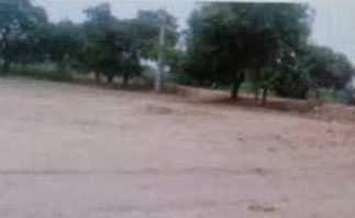  Agricultural Land for Sale in Anupshahr, Bulandshahr