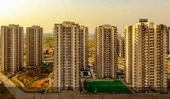  Residential Plot for Rent in Sector 102 Gurgaon