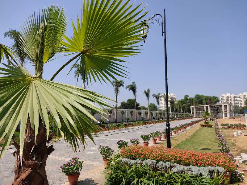  Residential Plot 106 Sq. Yards for Sale in Sohna, Gurgaon