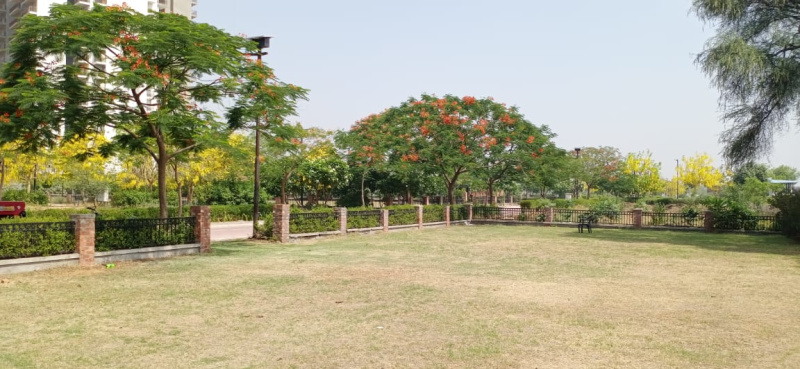  Residential Plot 360 Sq. Yards for Sale in Sohna, Gurgaon