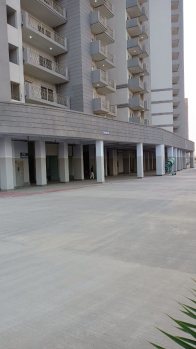 3 BHK Flat for Sale in Southern Peripheral Rd, Gurgaon
