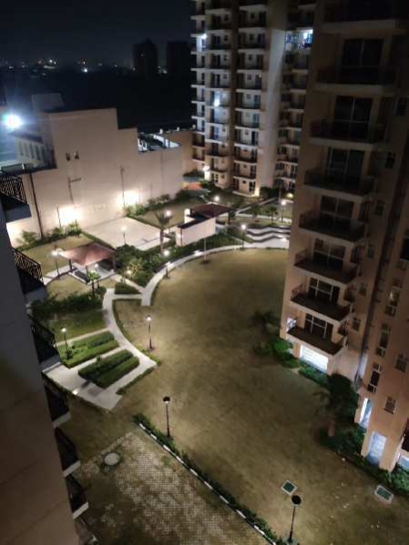 2 BHK 580 Sq.ft. Apartment for Rent in Sector 71 Gurgaon