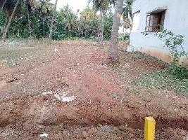  Residential Plot for Sale in Channarayapatna, Hassan