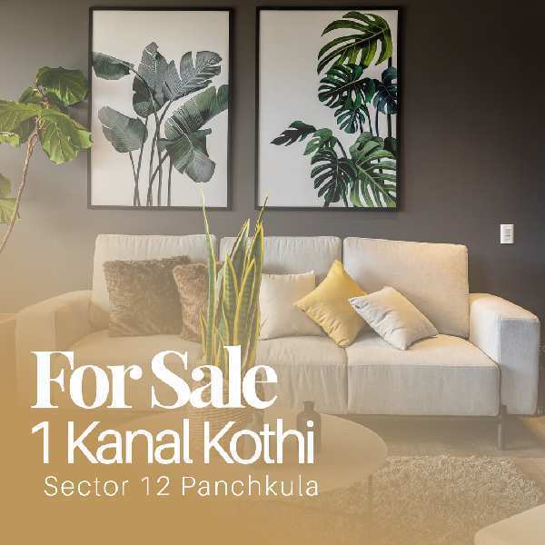 3 BHK House 20 Marla for Sale in Sector 12 Panchkula