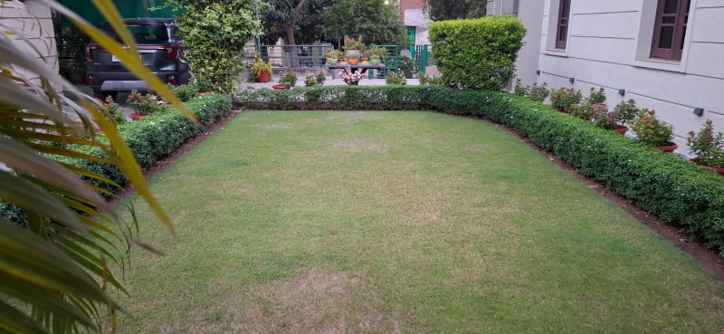  Residential Plot 55 Marla for Sale in Model Town, Jalandhar