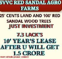  Agricultural Land for Sale in Kanigiri, Prakasam