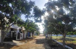  Residential Plot for Sale in Kunnandarkoil, Pudukkottai