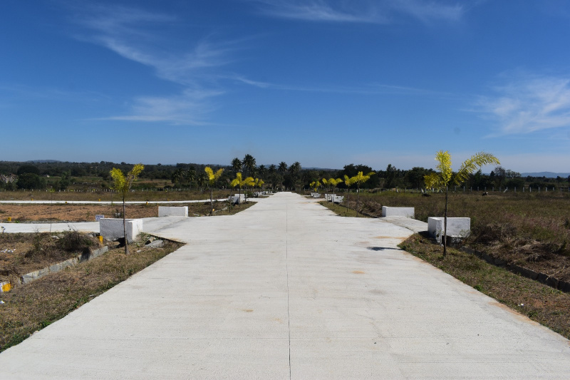  1200 Sq.ft. Residential Plot for Sale in Bangarapet, Kolar