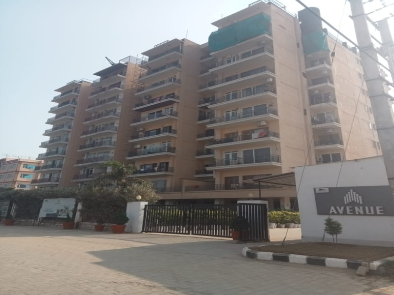 3 BHK 1650 Sq.ft. Apartment for Sale in Sector 123 Mohali