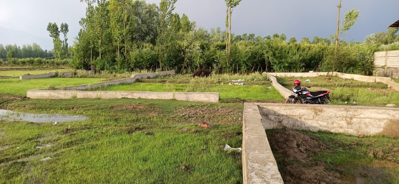  Residential Plot 5180 Sq.ft. for Sale in Soitang, Srinagar