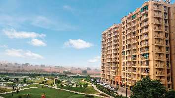 3 BHK Flat for Sale in Sector 24 Bhiwadi