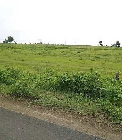 Commercial Land 405 Bigha for Sale in