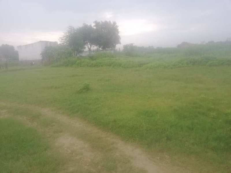 Agricultural Land 1500 Bigha for Sale in Barkachha, Mirzapur-cum-Vindhyachal