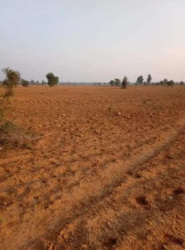 Agricultural Land 147 Acre for Sale in