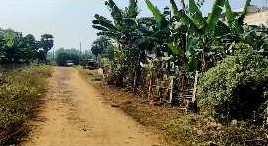  Agricultural Land for Sale in Chinagadili, Visakhapatnam
