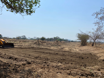  Agricultural Land for Sale in Alibag, Raigad