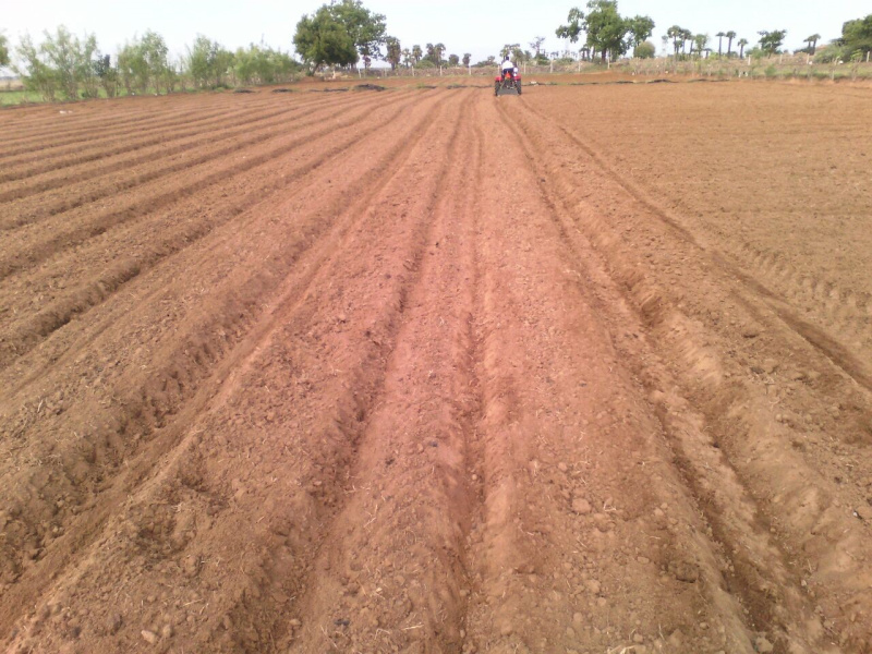  Agricultural Land 14 Acre for Sale in Chinna Anuppanadi, Madurai