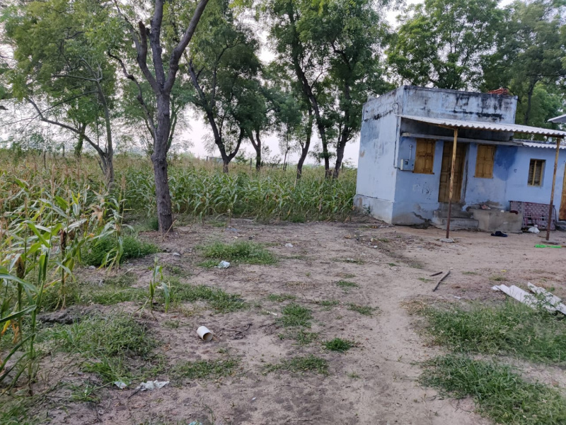  Agricultural Land 14 Acre for Sale in Chinna Anuppanadi, Madurai