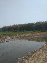  Agricultural Land for Sale in Badowala, Dehradun