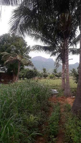 Agricultural Land 5 Acre for Sale in Peraiyur, Madurai