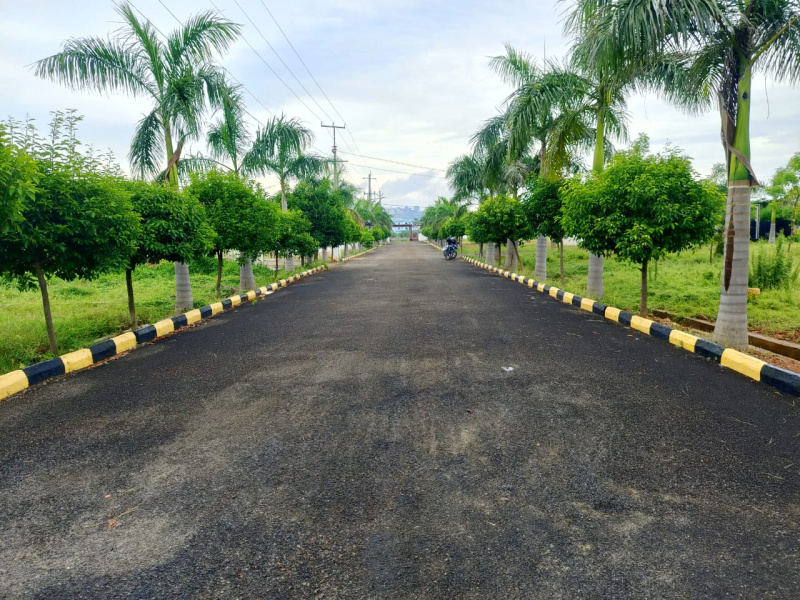  Residential Plot 200 Sq. Yards for Sale in Kotappakonda, Guntur