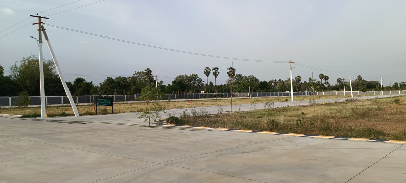  Residential Plot 1350 Sq.ft. for Sale in Thuvakudi, Tiruchirappalli